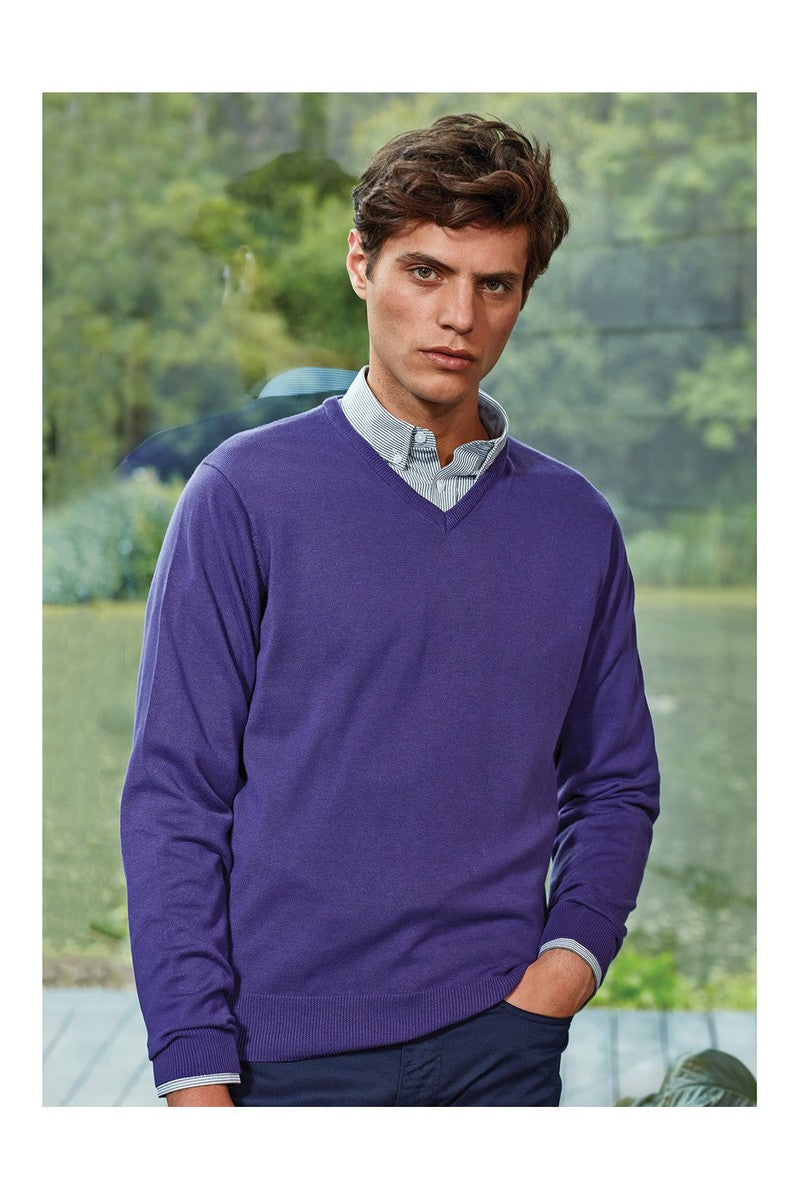 Men's purple 2025 v neck sweater